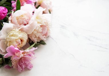 pembe peonies ile arka plan