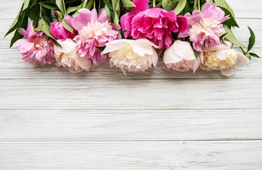 pembe peonies ile arka plan