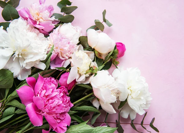 pembe peonies ile arka plan