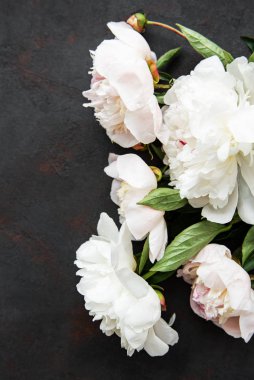 pembe peonies ile arka plan