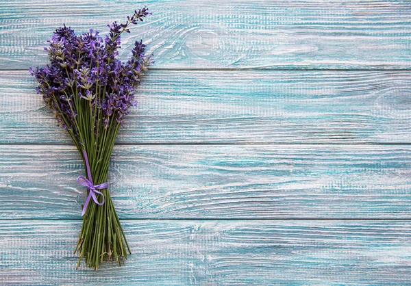 Fresh flowers of lavender — Stock Photo, Image