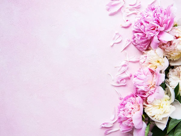 pembe peonies ile arka plan