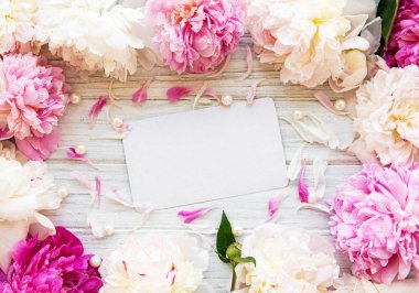 arka plan ile peonies