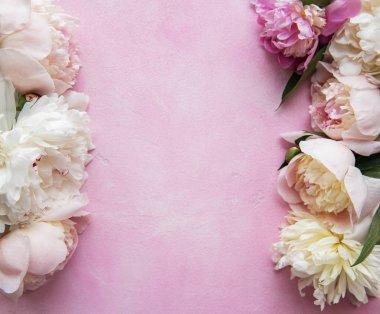 pembe peonies ile arka plan