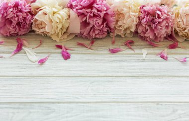 arka plan ile peonies