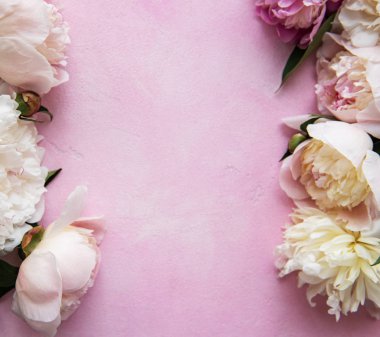 pembe peonies ile arka plan