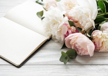 Blogger veya serbest meslek çalışma alanı