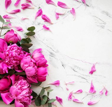 pembe peonies ile arka plan