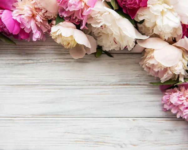 Fondo con peonías rosadas — Foto de Stock