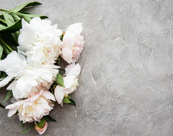 stock image Background with pink peonies on a grey concrete background