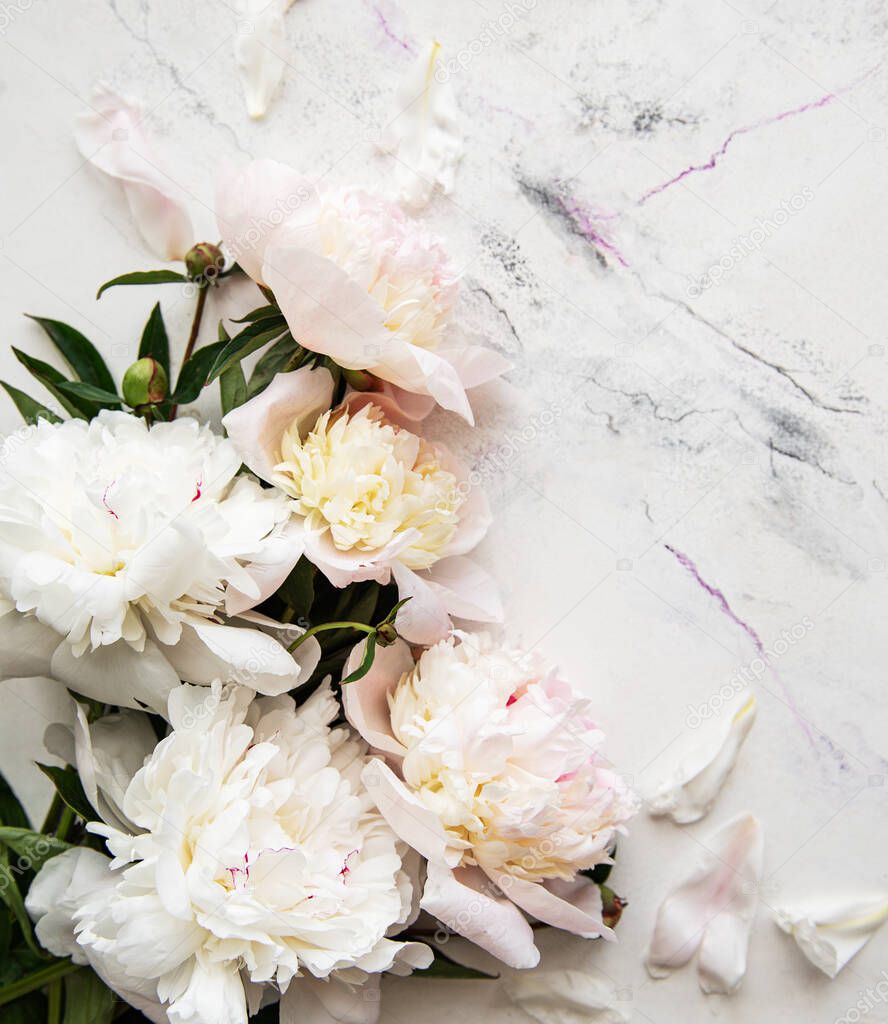 Flat lay composition with pink peony flowers on a marble backgroun