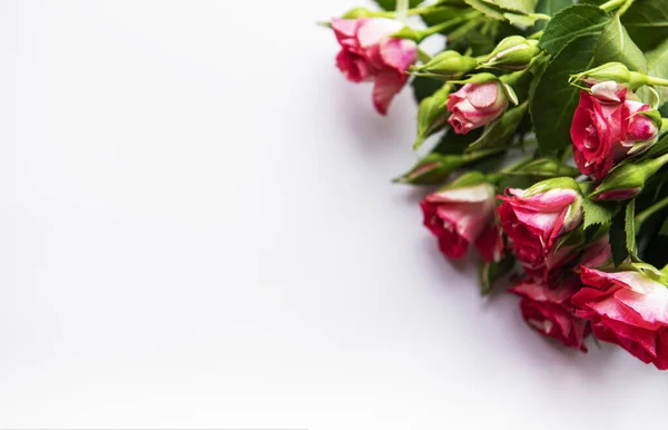 Μπουκέτο Κόκκινα Τριαντάφυλλα Άσπρο Φόντο — Φωτογραφία Αρχείου
