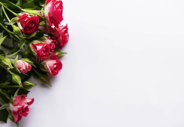 Rote Rosen Strauß Auf Weißem Hintergrund — Stockfoto
