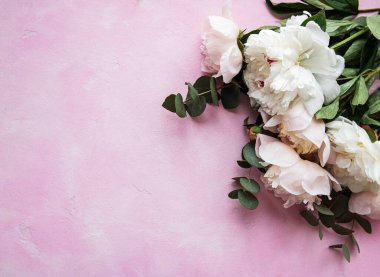 Pembe beton arka planda pembe şakayık ile arka plan