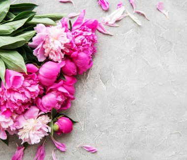 Gri beton arka planda pembe şakayık ile arka plan