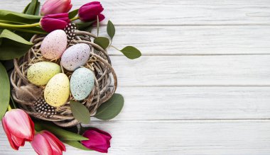 Yuvasında renkli yumurtalar ve beyaz ahşap arka planda pembe laleler olan Paskalya arkaplanı. Kopyalama alanı olan üst görünüm