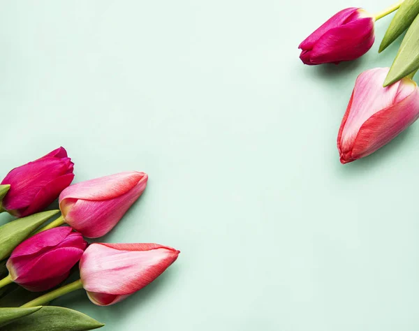 Hermoso Ramo Tulipanes Sobre Fondo Verde Pastel — Foto de Stock