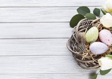 Yuvasında renkli yumurtalar ve beyaz ahşap arka planda pembe laleler olan Paskalya arkaplanı. Kopyalama alanı olan üst görünüm