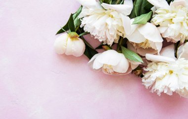 Pembe beton arka planda pembe şakayık ile arka plan