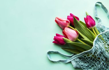 Pastel yeşil arka planda, eko poşette pembe laleler. Uzayı kopyala, düz yat. 