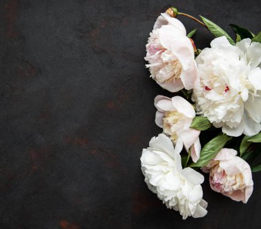 Siyah beton arka planda pembe şakayıklar olan bir arka plan