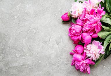 Gri beton arka planda pembe şakayık ile arka plan