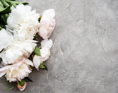 Gri beton arka planda pembe şakayık ile arka plan
