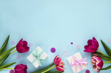 Bahar lale çiçekleri ve pastel mavi arka planda hediye kutusu düz bir şekilde yatıyordu. Kadınlar ya da Anneler Günü için Selamlama.