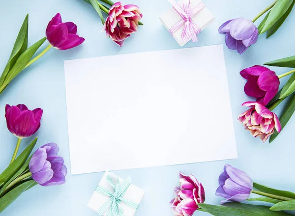 Carte Vœux Fleurs Tulipes Printemps Boîte Cadeau Sur Fond Bleu — Photo