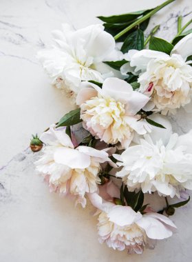 Beyaz mermer arka planda pembe şakayıklar olan bir arka plan.