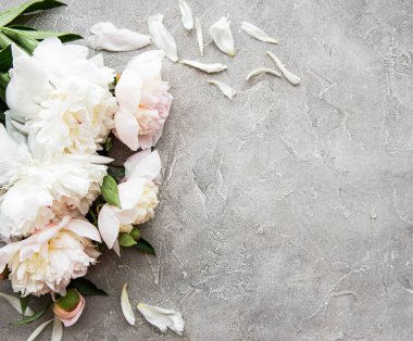Gri beton arka planda pembe şakayık ile arka plan