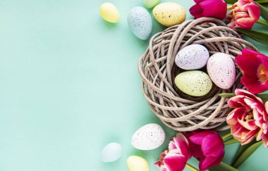 Yuvasında renkli yumurtalar ve pastel yeşil arka planda pembe laleler olan Paskalya arkaplanı. Kopyalama alanı olan üst görünüm