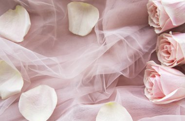 Pembe güller pembe bir tül üzerinde düz bir kenar gibidir..