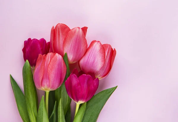 Hermoso Ramo Tulipanes Sobre Fondo Pastel Rosa — Foto de Stock