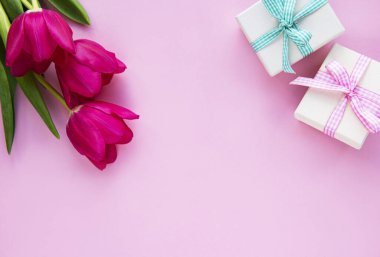 Güzel laleler ve pembe pastel arka planda hediye kutuları.