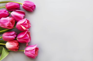 Gri bir zemin üzerinde güzel laleler çiçek açar.