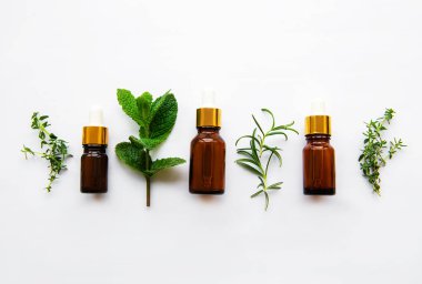 Aromaterapi konsepti, aroma yağı ve bitkiler - nane, biberiye, beyaz arka planda kekik, üst görünüm