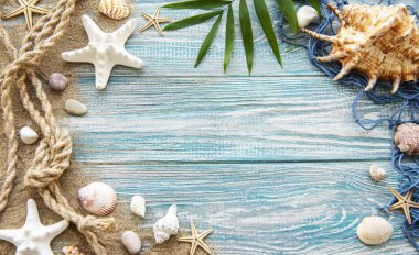 Kumdaki deniz kabukları. Yazın deniz tatili arka planında metin için yer var. Üst görünüm