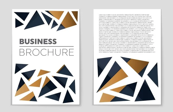 Abstract vector lay-out achtergrond instellen. Voor kunst sjabloonontwerp, lijst, voorpagina, mockup de stijl van het thema van de brochure, banner, idee, cover, boekje, print, flyer, boek, leeg, kaart, advertentie, teken, blad,, a4. — Stockvector