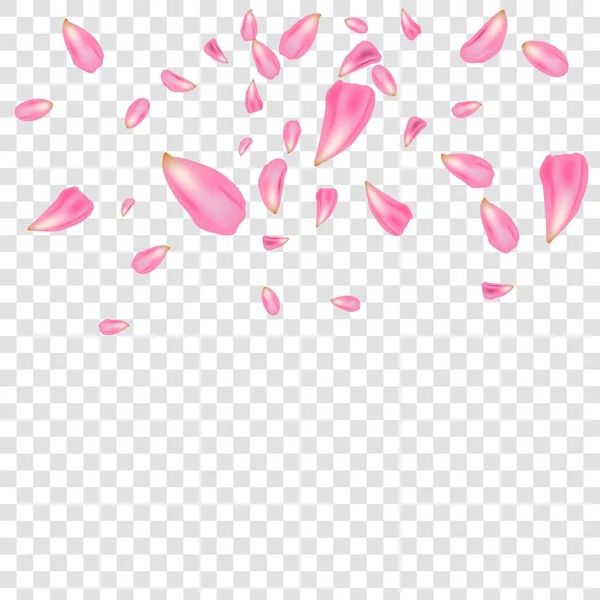 Ilustración vectorial creativa de pétalos de flores cayendo sobre fondo transparente vectorial. Rosa, rosa roja o sakura volando telón de fondo para, madre, día de la mujer. Diseño de arte. Concepto abstracto elemento gráfico . — Archivo Imágenes Vectoriales