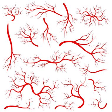 Kırmızı damarlar üzerinde arka izole yaratıcı vektör Illustration. İnsan gemi, sağlık arterler, sanat tasarım. Soyut kavram grafik öğesi kılcal damarlar. Kan sistemi