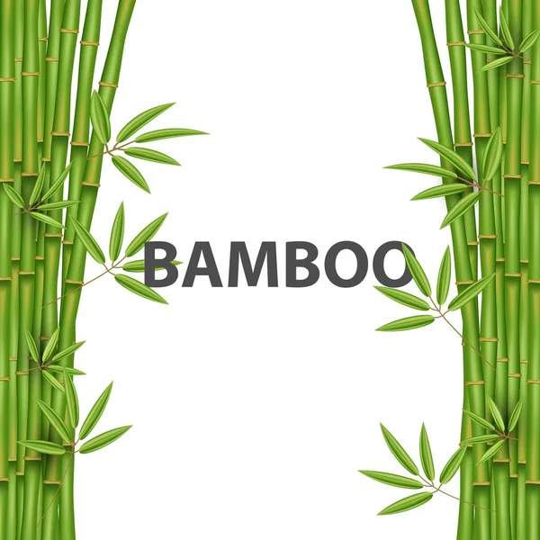 Ilustración vectorial creativa del árbol de hierba de bambú chino. Tropical asiático planta de diseño de arte. Banner gráfico de concepto abstracto, folleto, portada, folleto, impresión, folleto, libro, en blanco, elemento a4 — Archivo Imágenes Vectoriales