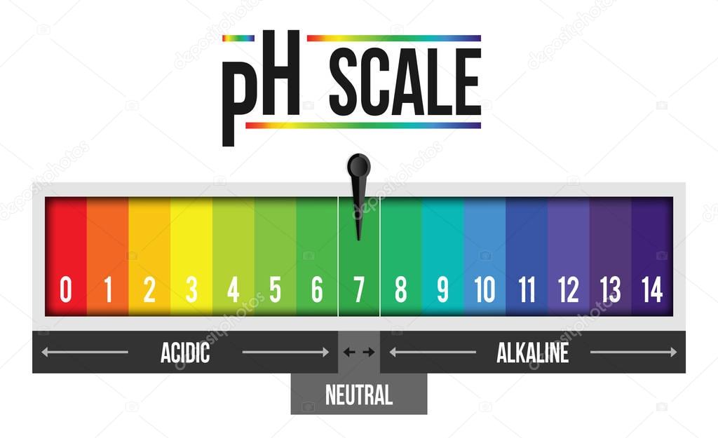 Creative vector illustration of pH scale value isolated on background. Chemical art design infographic. Abstract concept graphic litmus paper element.