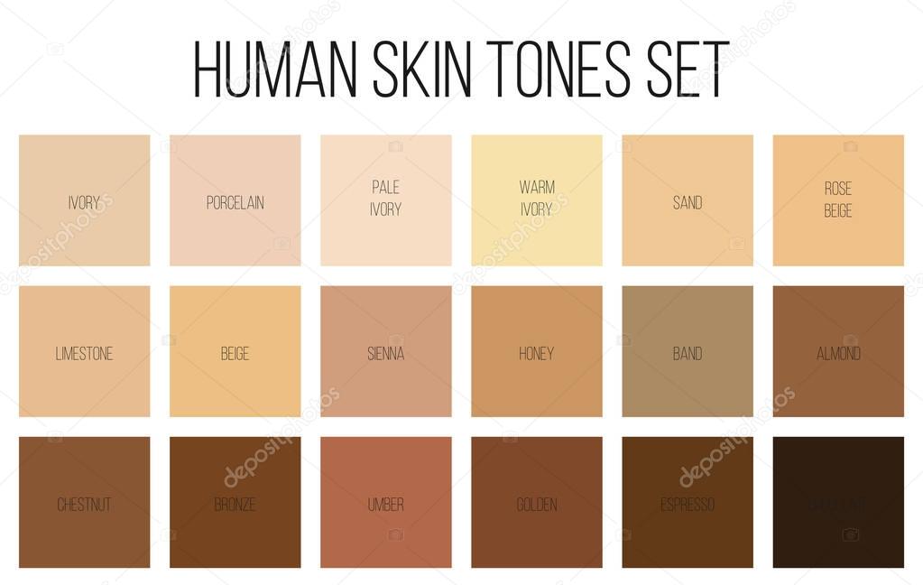 Creative vector illustration of human skin tone color palette set isolated on transparent background. Art design. Abstract concept person face, body complexion graphic element for cosmetics