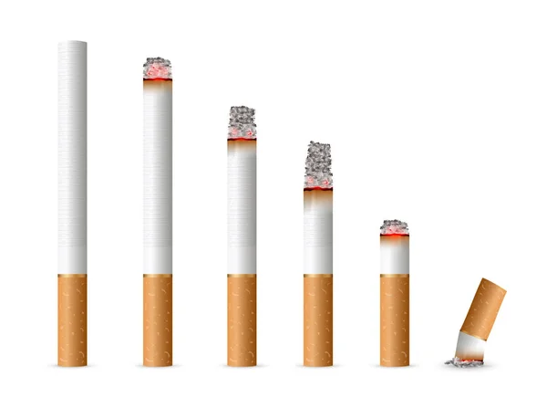 Kreativa vektorillustration av realistiska cigarett ställa isolerade på transparent bakgrund. Konst design olika stadier av burn. Abstrakt begrepp grafiskt element — Stock vektor