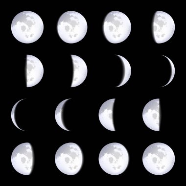 Yaratıcı vektör çizim gerçekçi ayın üzerinde şeffaf arka plan izole düzenleri aşama. Sanat Tasarım ay takvimi. Ay ışığı faaliyet farklı aşamalarında. Soyut kavram grafik öğesi.