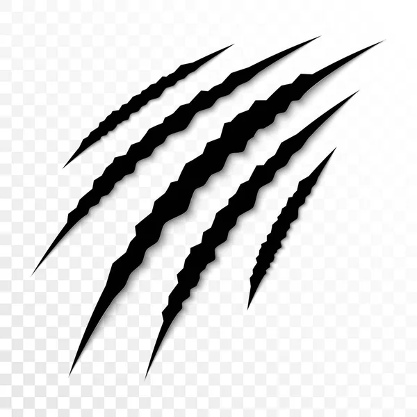 100,000 Claw marks Vector Images | Depositphotos