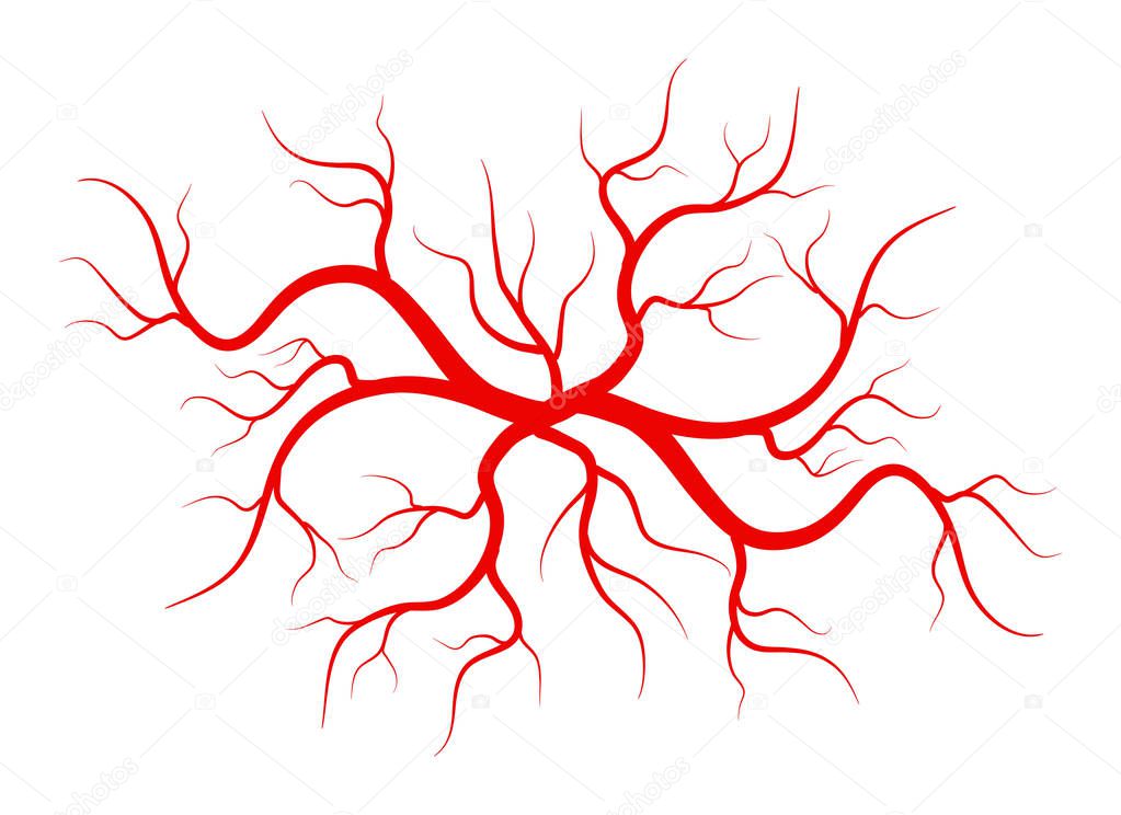 Creative vector illustration of red veins isolated on background. Human vessel, health arteries, Art design. Abstract concept graphic element capillaries. Blood system