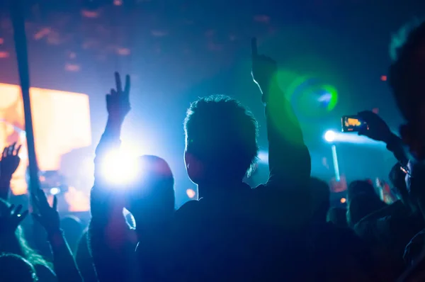 konserde hayranları