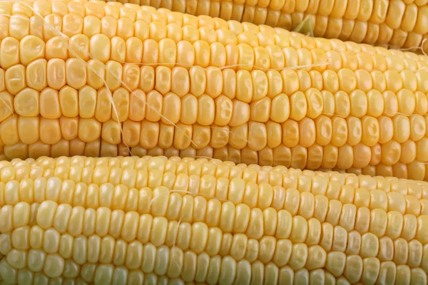 Frischer Mais auf dem Maiskolben. — Stockfoto